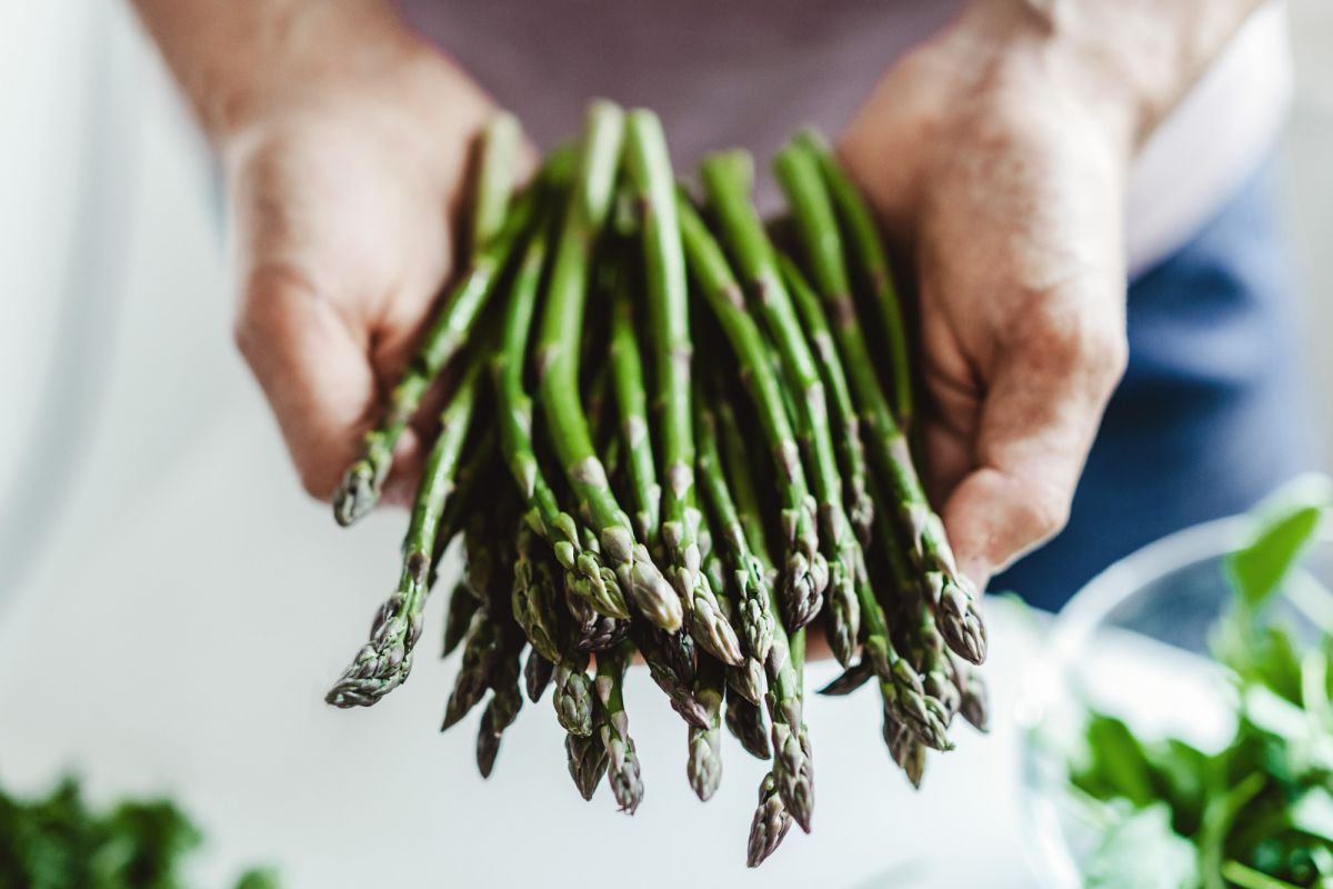 O que é este espargo e as formas mais saborosas de o preparar e comer