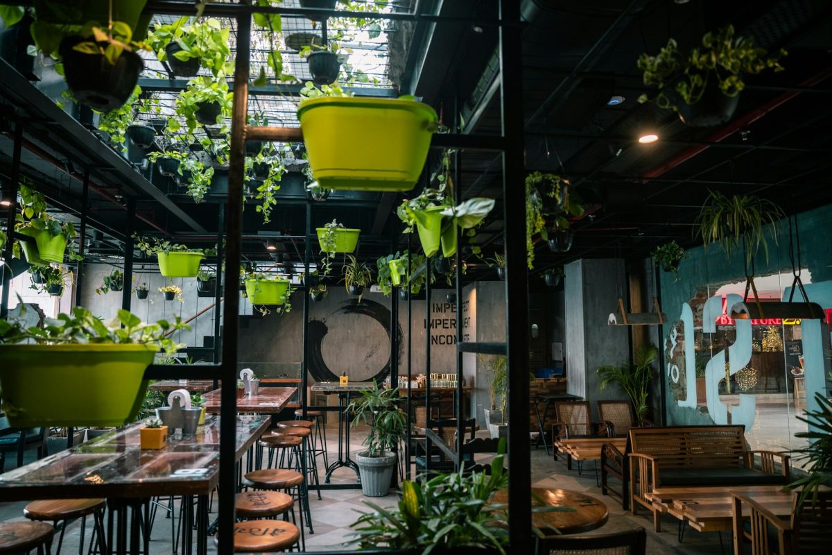 Desfrute sustentável: Como os restaurantes podem se tornar sustentáveis