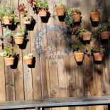 Saloon Coffee Dentro