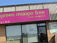 Green Mango Tree outside