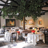 Scarpati Comida