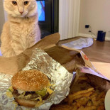 Five Guys Comida