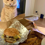 Five Guys Comida