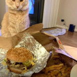 Five Guys Comida