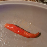 Jasmine Tandoori Balti Comida