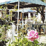 Chez Bebert Dentro