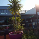 Pc De La Base Exterior
