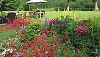 The Feathered Nest Country Inn outside