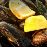 Luppolo E Farina Comida