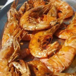 Cuenca Mar Comida