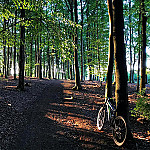 Waldgaststätte Hinnenwiese outside