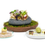 Harzfenster Comida