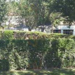 Piscina Exterior