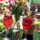 Fuchsbar Comida