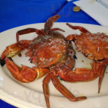 Sito Comida