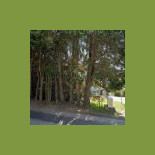 N'cafe Exterior