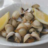 O´xoto Comida