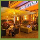 Cafe Lobo Comida