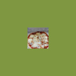 Befa Pizza Comida