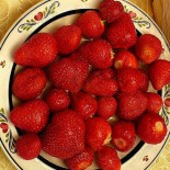 Gartenklause Comida