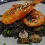 Bazul Comida