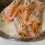 Orius Comida