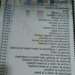 Dalma Comida