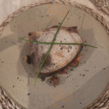 Obac 5.0 Comida