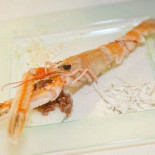 Artecrazia Comida