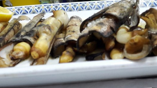 Trilandia Essen