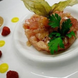 Opera Comida