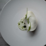 Tamara Comida