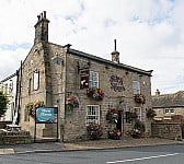 Fox Hounds outside