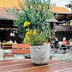 Zur Bergbrauerei food