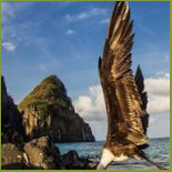 Do Meio Noronha Comida