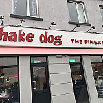 Shake Dog inside
