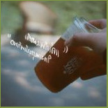 ออร์แกนิคคาเฟ่ Organic Cafe Comida