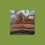 Point Few Comida