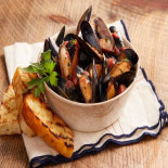Bertucci's Italian Comida