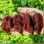 Komjatické Chilli Comida