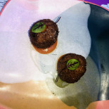 Untied Comida