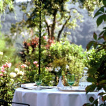 Taillard Comida