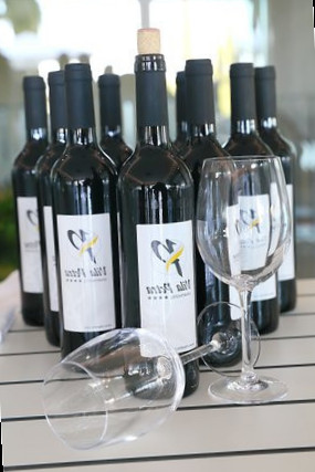 Bucha Tapas Wine Essen