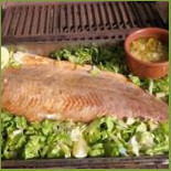 Colmeia Essen