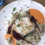 Trader's Comida