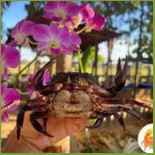 ปูนาอาเธอร์ปาร์ค ขอนแก่น Exterior