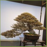 § Bǎo Dé Wàng Fǎ Guó Chá Fāng § Exterior