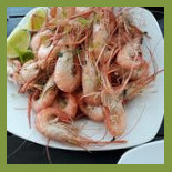 Flora Comida