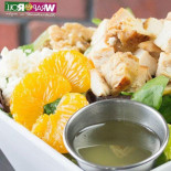 Wrap Roll Comida