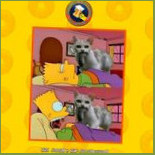 Springfield Comida